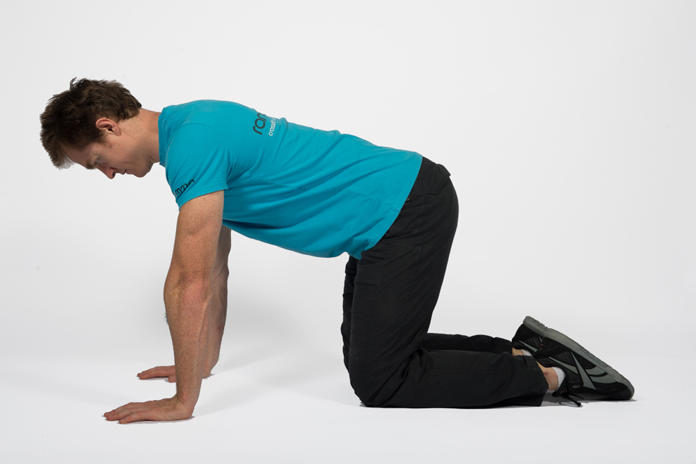 Four Point Kneeling Pelvic Tilts | Range Of Motion