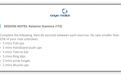 SESSION NOTES: Relative Stamina (173)