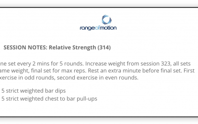 SESSION NOTES: Relative Strength (314)