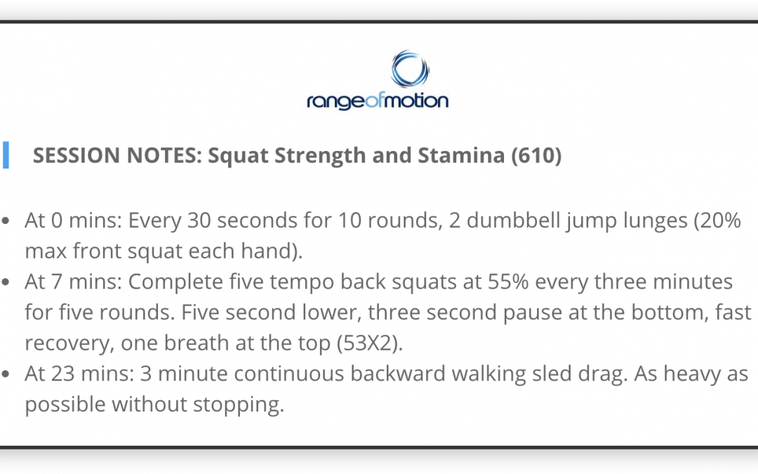 SESSION NOTES: Squat Strength and Stamina (610)