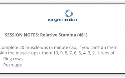 SESSION NOTES: Relative Stamina (481)