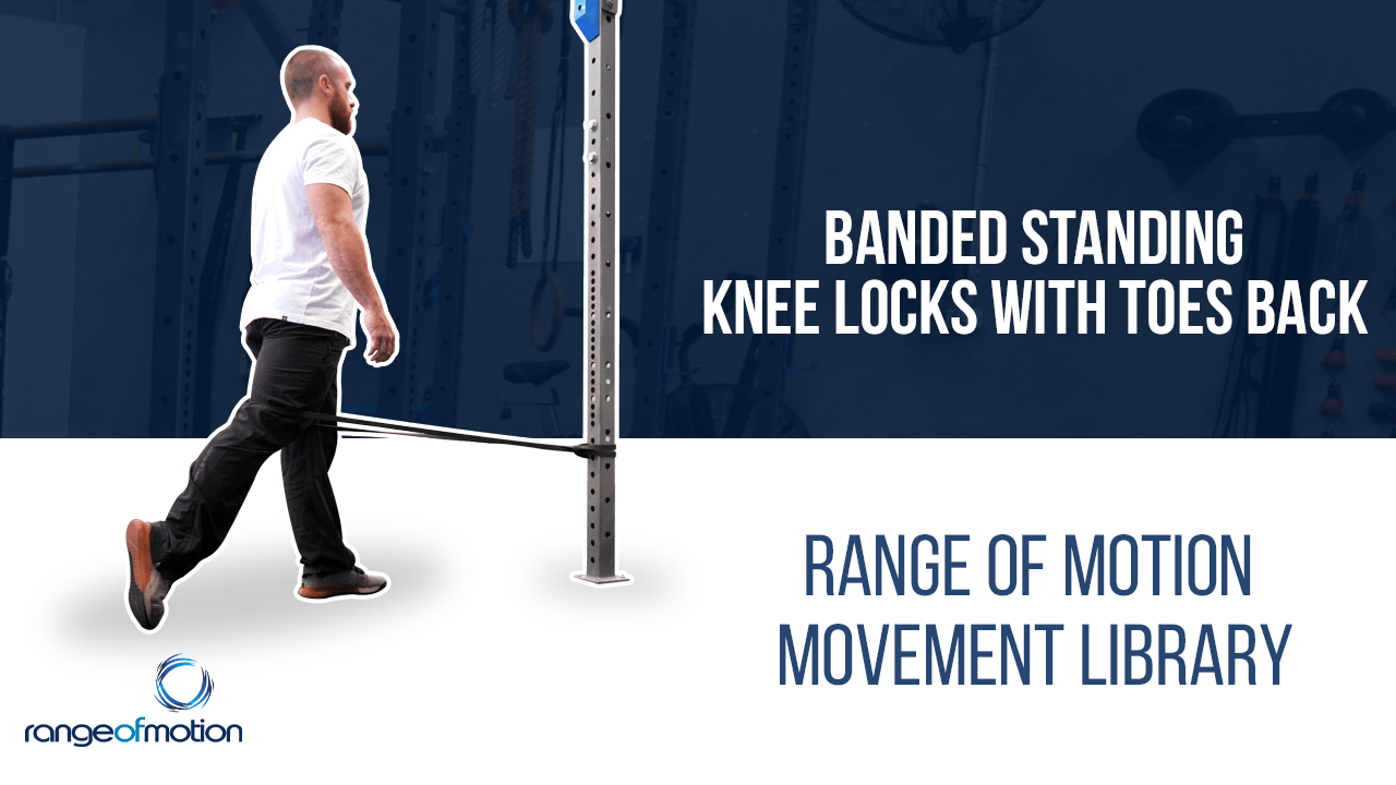 Banded Standing Knee Locks with Toes Back • Range Of Motion