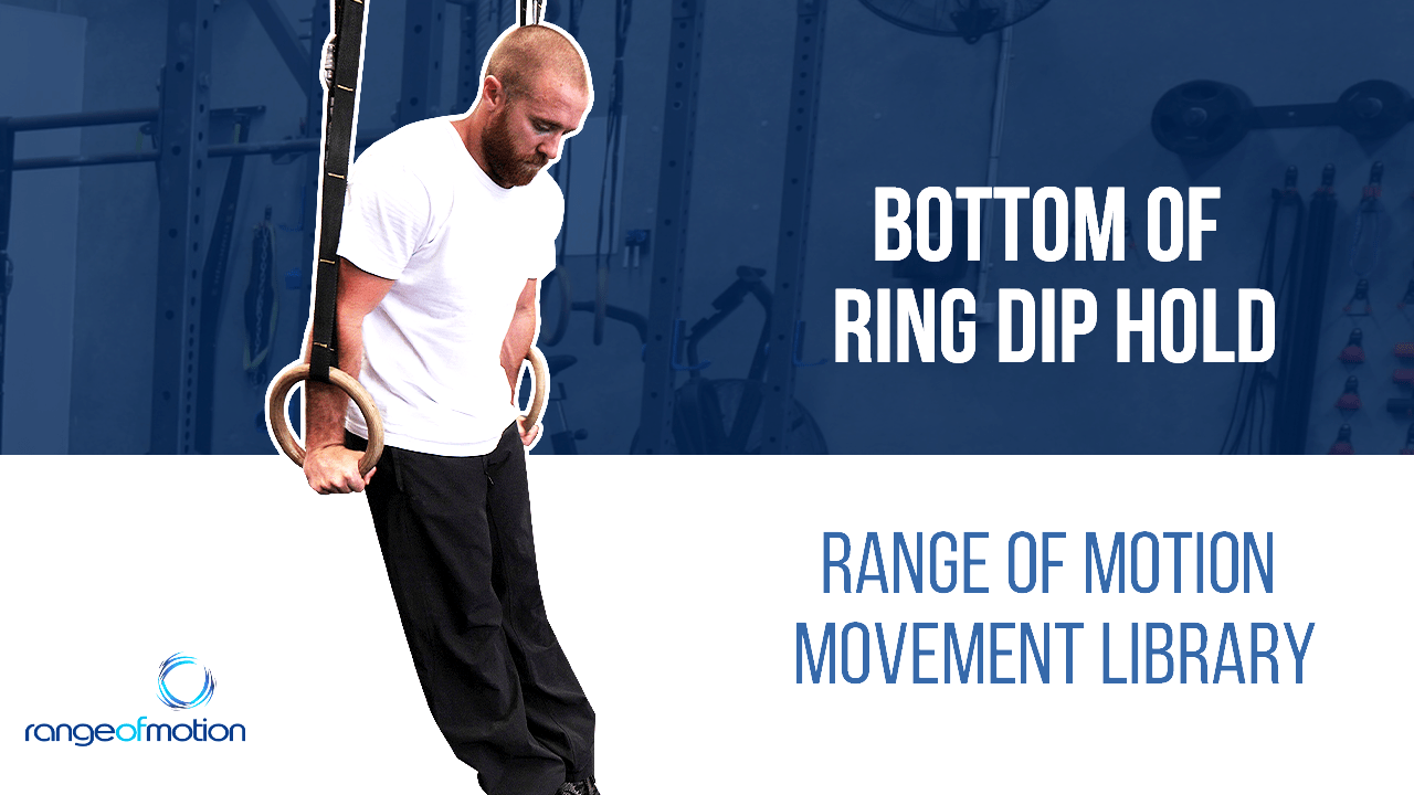 Bottom of Ring Dip Hold • Range Of Motion