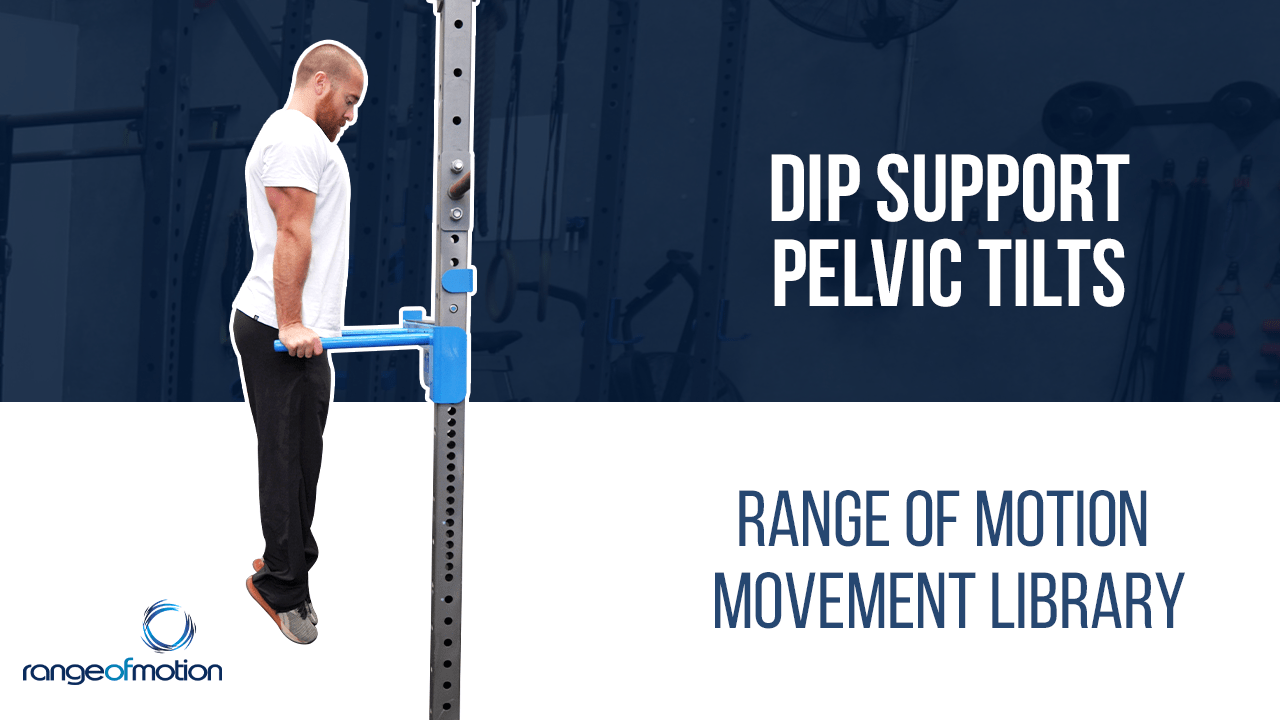 Dip Support Pelvic Tilts • Range Of Motion