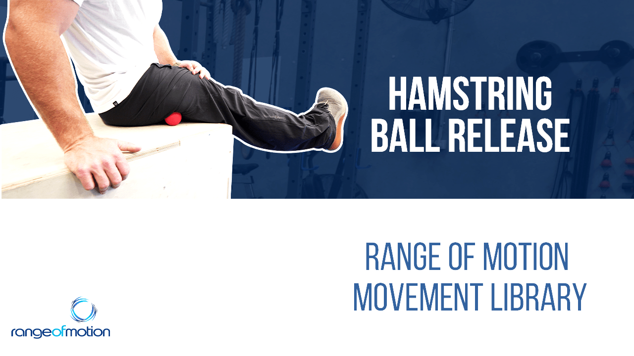 Hamstring Ball Release • Range Of Motion