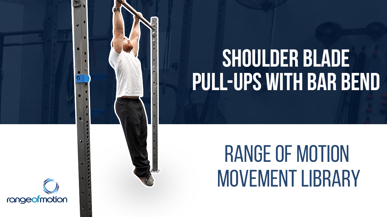 Shoulder Blade Pull Ups with Bar Bend • Range Of Motion