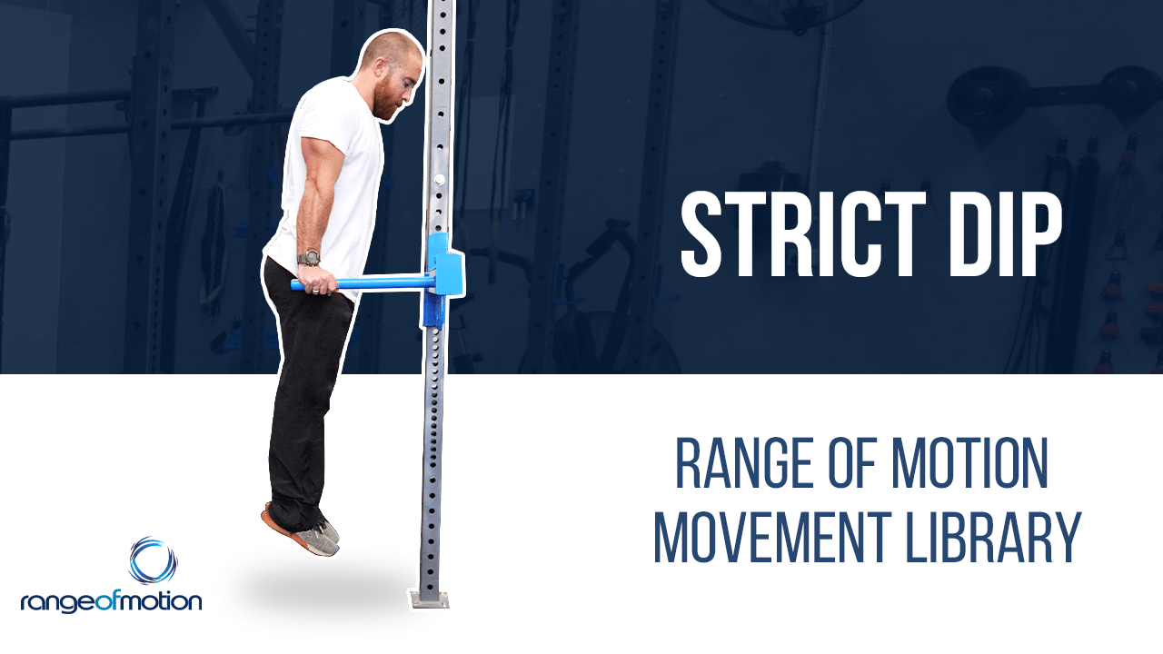 Strict Dip • Range Of Motion