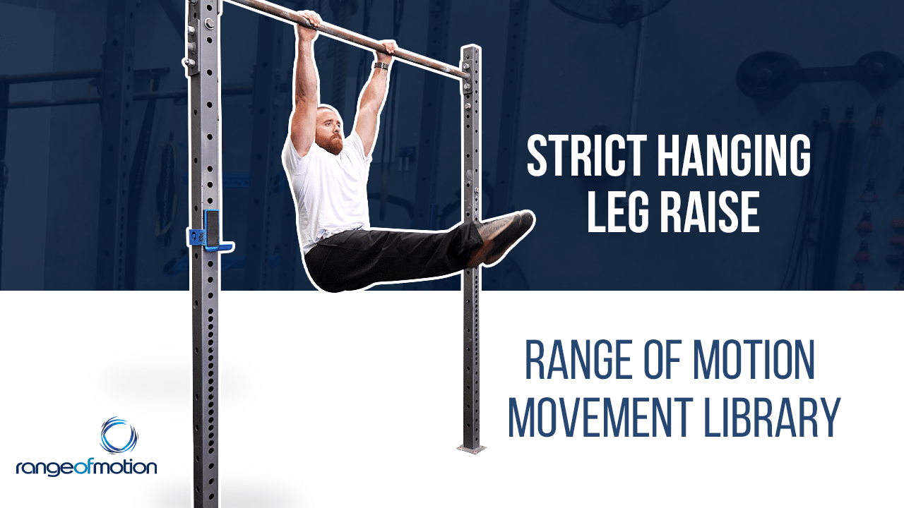 hanging leg raise